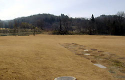 110-7.jpg