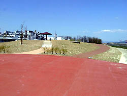115-10.jpg