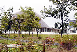 124-1.jpg