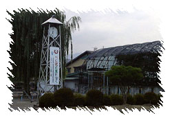 131-19.jpg