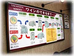 138-3.jpg