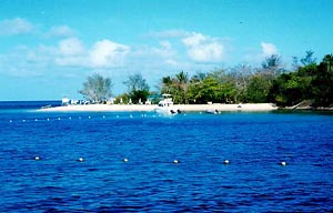 141-5.jpg