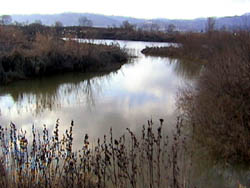 143-13.jpg