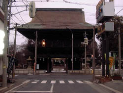 146-1.jpg