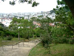 149-3.jpg