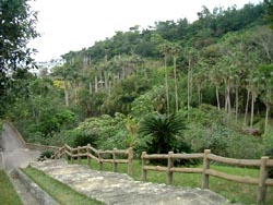 149-5.jpg