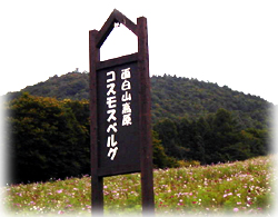 161-6.jpg