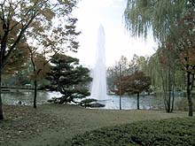 65-3.jpg