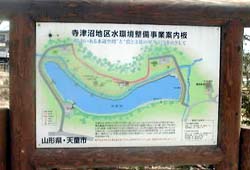 74-10.jpg