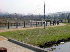 74-4.jpg