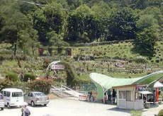 84-11.jpg
