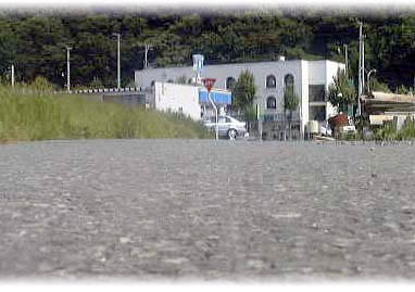 87-2.jpg