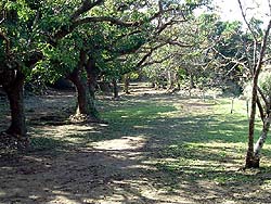 16-11.jpg