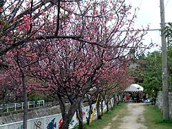 19-06.jpg