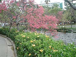 19-36.jpg