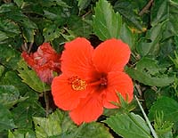 19-38.jpg