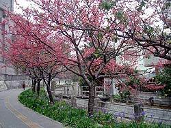 19-80.jpg