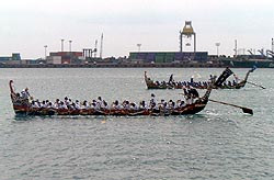 21-105.jpg