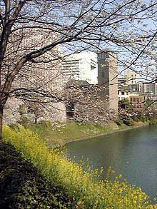 101-1.jpg