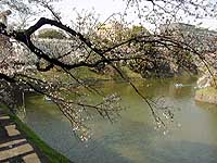101-7.jpg