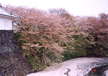 113-3.jpg