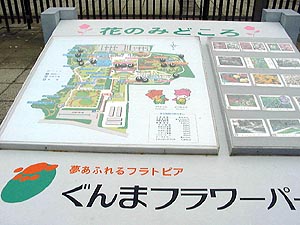 115-1.jpg