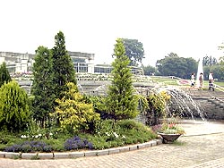 115-2.jpg