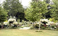 117-1.jpg