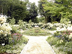 117-4.jpg