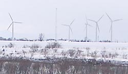 119-22.jpg