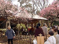 120-5.jpg