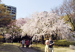 122-7.jpg