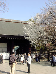 123-5.jpg