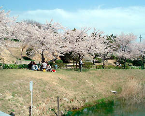 124-3.jpg