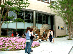 129-3.jpg