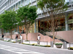 129-4.jpg